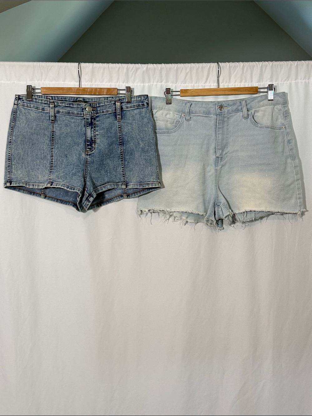 Express & Wild Fable Light and Mid Wash Denim Shorts - Set of 2